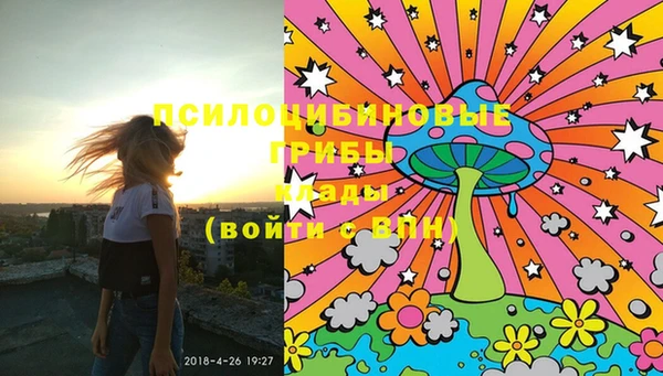 марки lsd Абаза