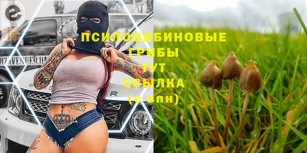 марки lsd Абаза