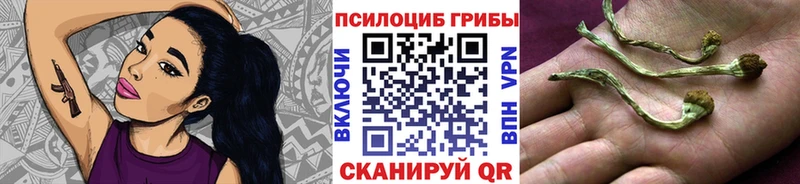 Псилоцибиновые грибы прущие грибы  Ивантеевка 