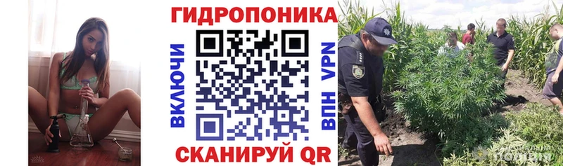 Бошки Шишки MAZAR Ивантеевка